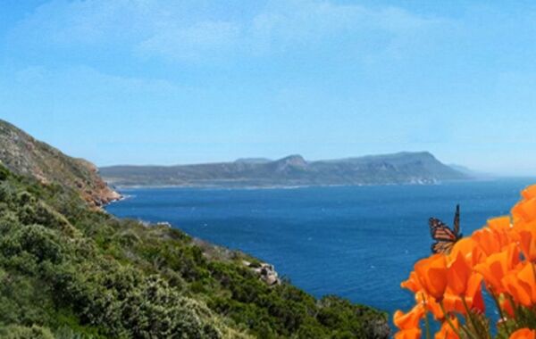 The Cliffs And Pismo Beach